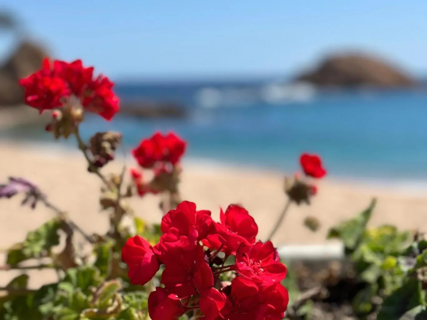 Appartement Atico Con Vistas Al Mar A Un Paso Del Centro à Blanes